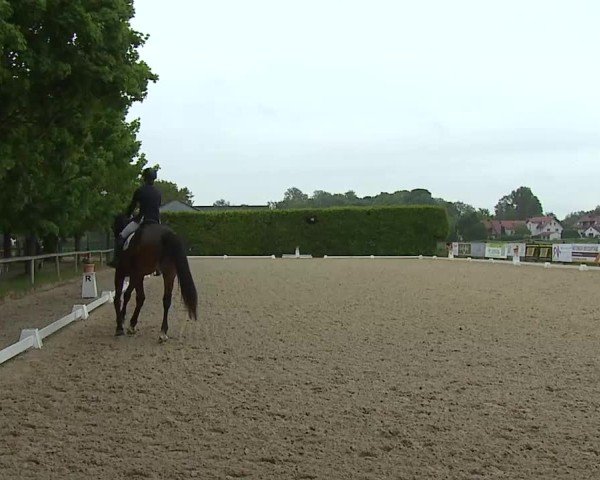 Reitturnier Notzing/Obb. 2025