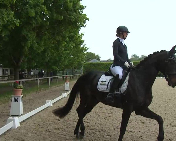 Reitturnier Notzing/Obb. 2025