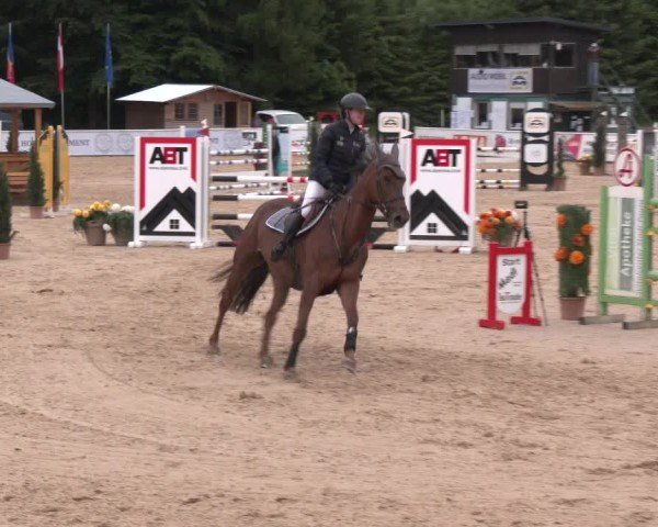 Reitturnier Ranshofen - Braunau am Inn 2025