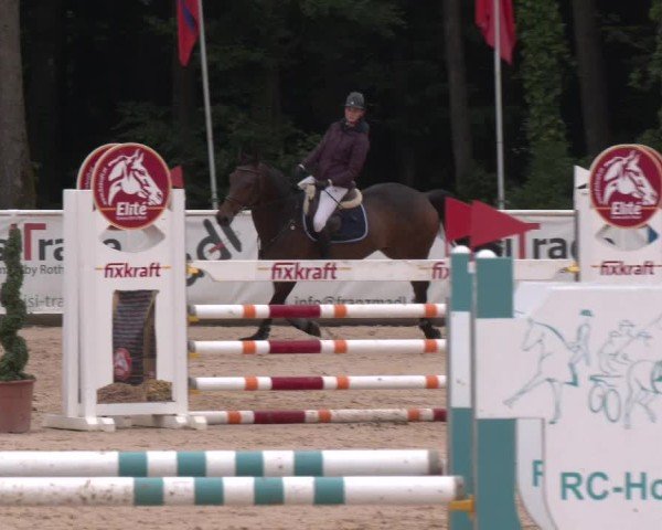 Reitturnier Ranshofen - Braunau am Inn 2025