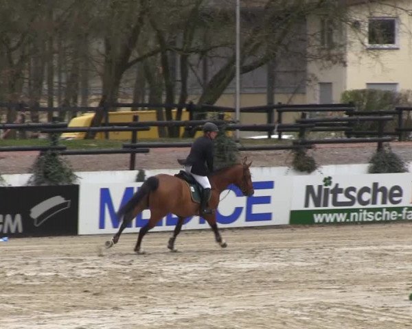 Balve-Wocklum Regio 2014