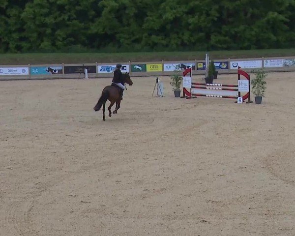 Reitturnier Tiefenhof/Opf. 2025