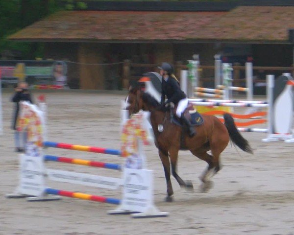 Reitturnier Alvern 2025