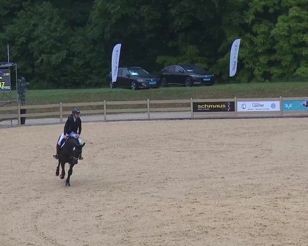 Reitturnier Tiefenhof/Opf. 2025