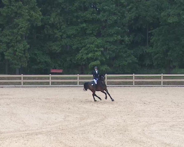 Reitturnier Tiefenhof/Opf. 2025