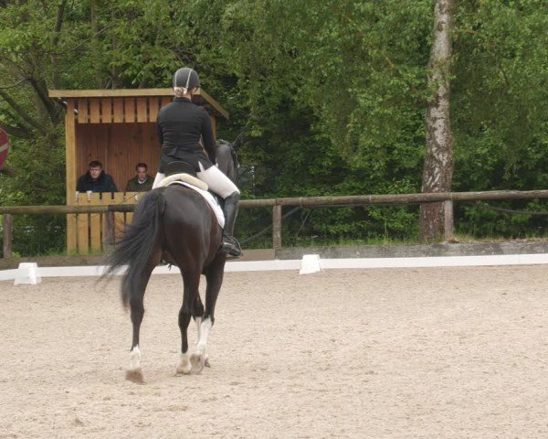 Reitturnier Leonberg 2025