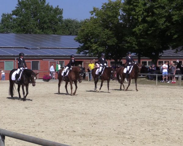 Reitturnier Ascheberg 2021