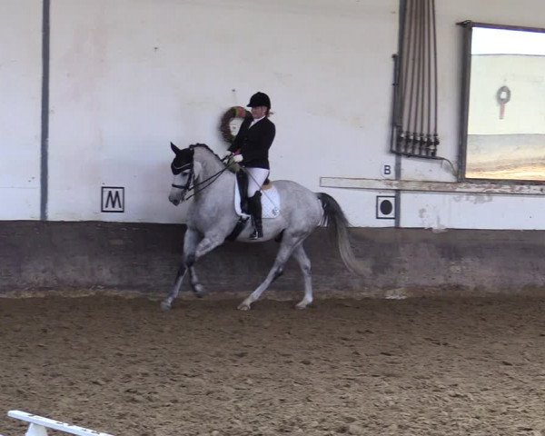 Reitturnier Ascheberg 2021
