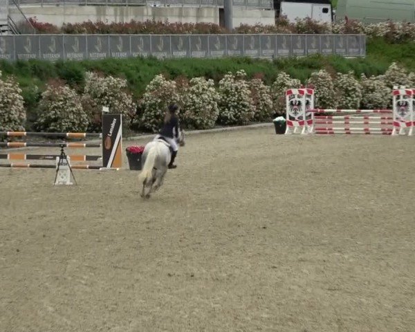 Reitturnier St. Margarethen 2025