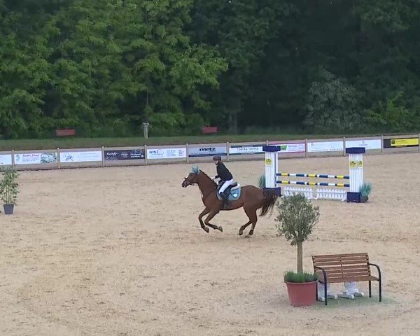 Reitturnier Tiefenhof/Opf. 2025