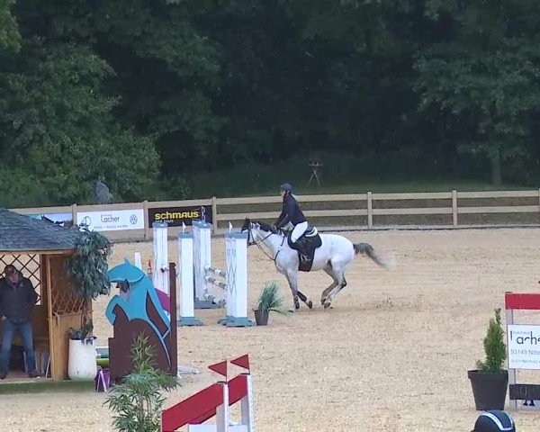 Reitturnier Tiefenhof/Opf. 2025