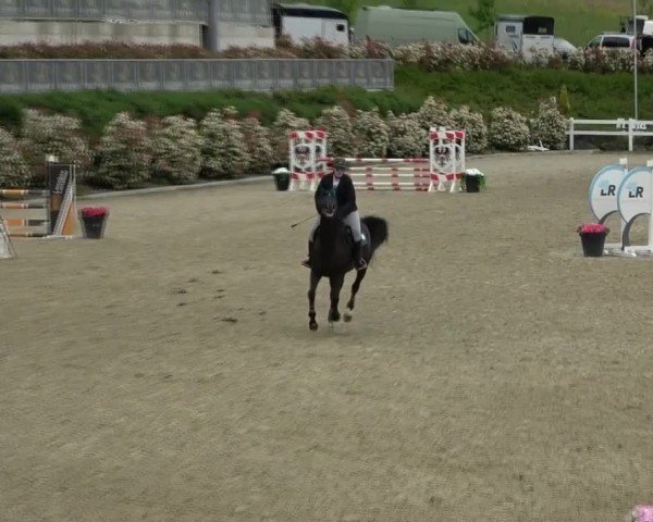 Reitturnier St. Margarethen 2025