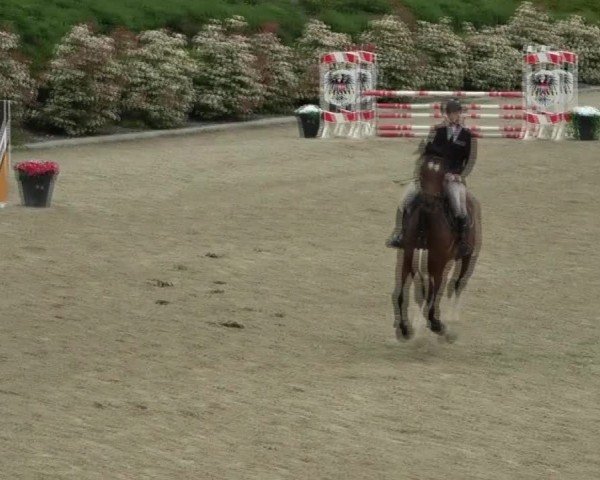 Reitturnier St. Margarethen 2025