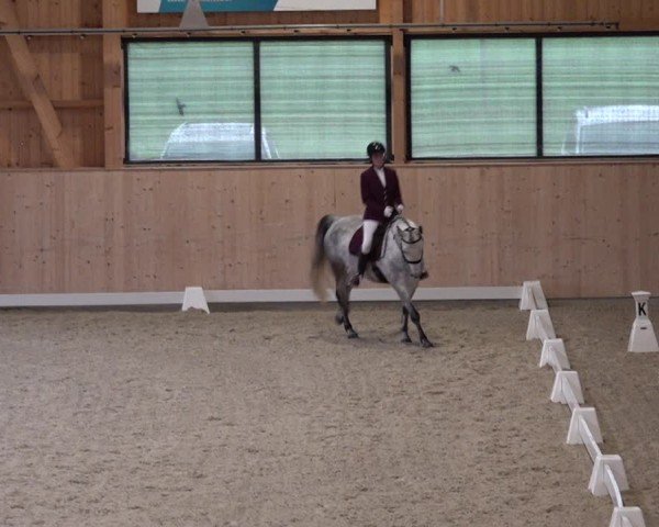 Reitturnier Aadorf 2025