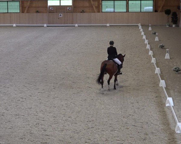 Reitturnier Aadorf 2025