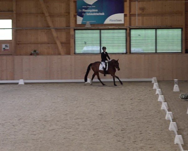 Reitturnier Aadorf 2025