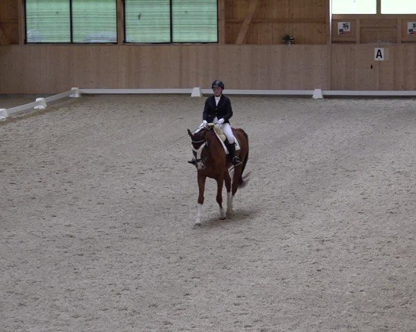 Reitturnier Aadorf 2025