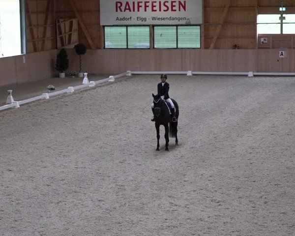 Reitturnier Aadorf 2025