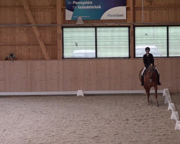Reitturnier Aadorf 2025