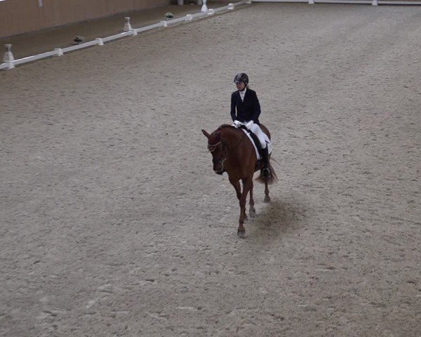 Reitturnier Aadorf 2025