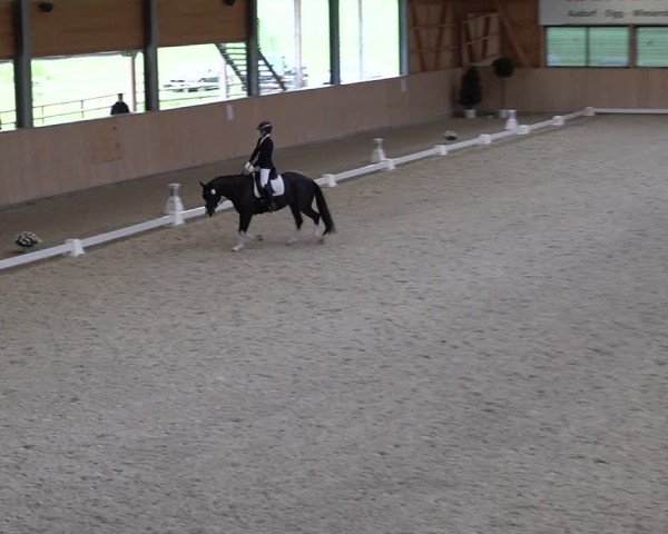Reitturnier Aadorf 2025