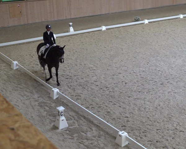 Reitturnier Aadorf 2025