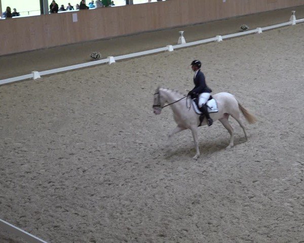 Reitturnier Aadorf 2025