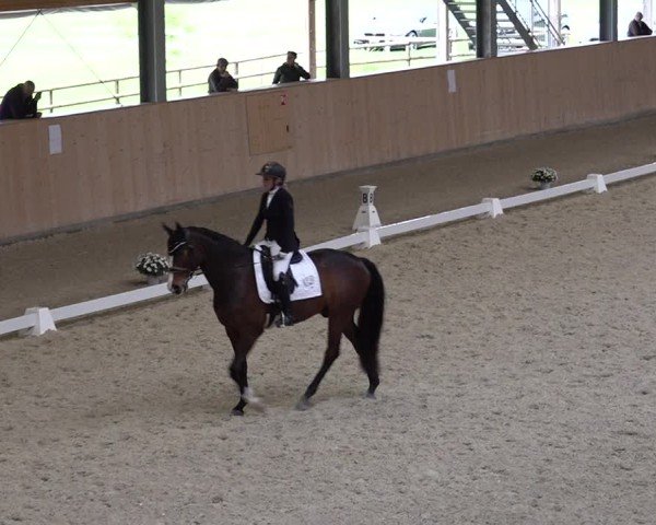Reitturnier Aadorf 2025