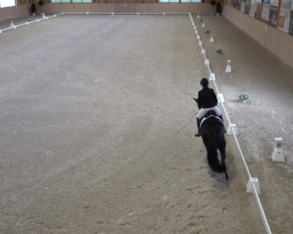 Reitturnier Aadorf 2025