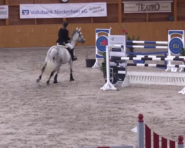 Hallenspringturnier Xanten - Reitanlage Miß 2014
