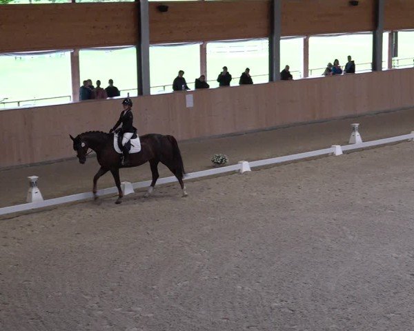 Reitturnier Aadorf 2025