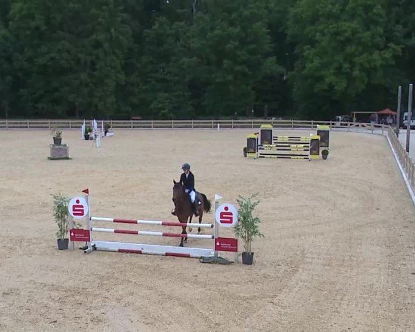 Reitturnier Tiefenhof/Opf. 2025