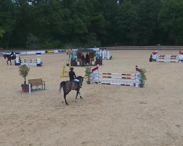 Reitturnier Tiefenhof/Opf. 2025