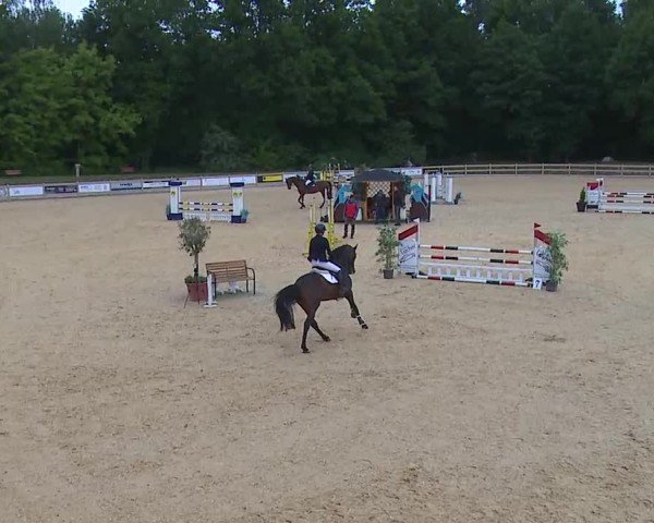 Reitturnier Tiefenhof/Opf. 2025