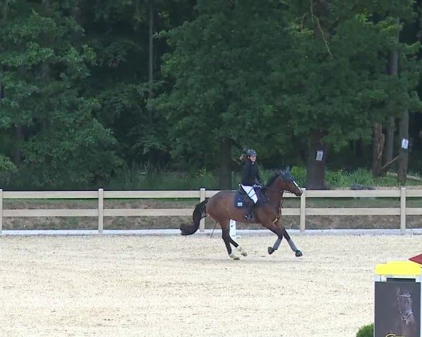 Reitturnier Tiefenhof/Opf. 2025