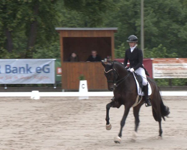 Reitturnier Erkrath - Uhlenhof 2025