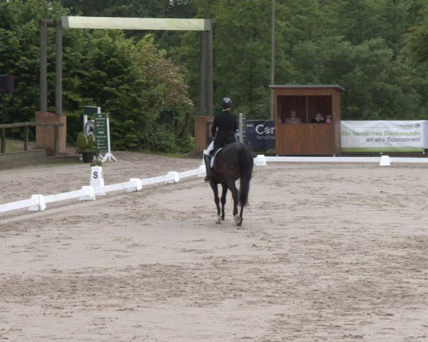 Reitturnier Erkrath - Uhlenhof 2025