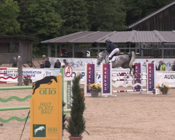 Reitturnier Ranshofen - Braunau am Inn 2025
