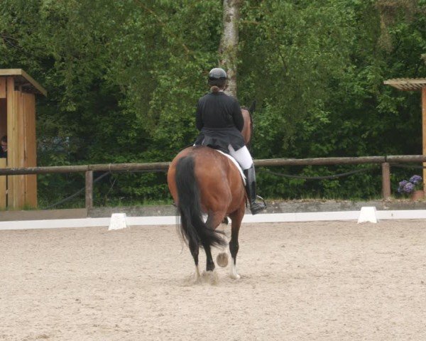 Reitturnier Leonberg 2025