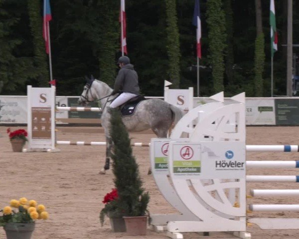 Reitturnier Ranshofen - Braunau am Inn 2025