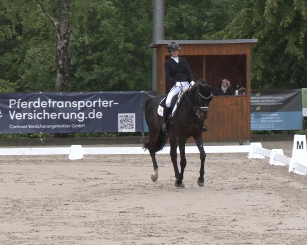 Reitturnier Erkrath - Uhlenhof 2025