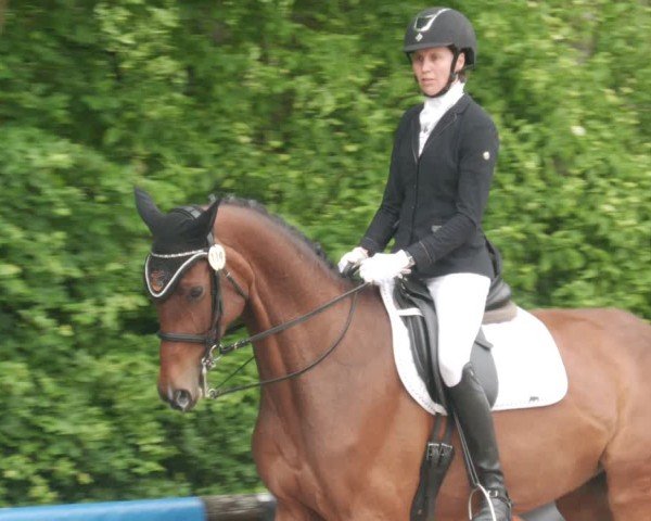 Reitturnier Leonberg 2025