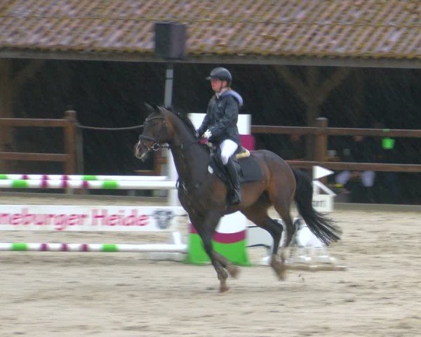 Reitturnier Alvern 2025