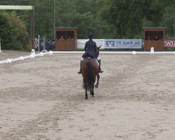 Reitturnier Erkrath - Uhlenhof 2025