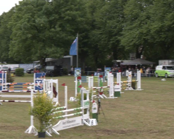 Reitturnier Stadthagen 2025