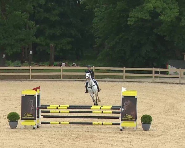 Reitturnier Tiefenhof/Opf. 2025