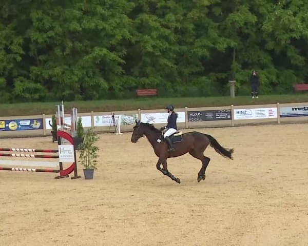 Reitturnier Tiefenhof/Opf. 2025