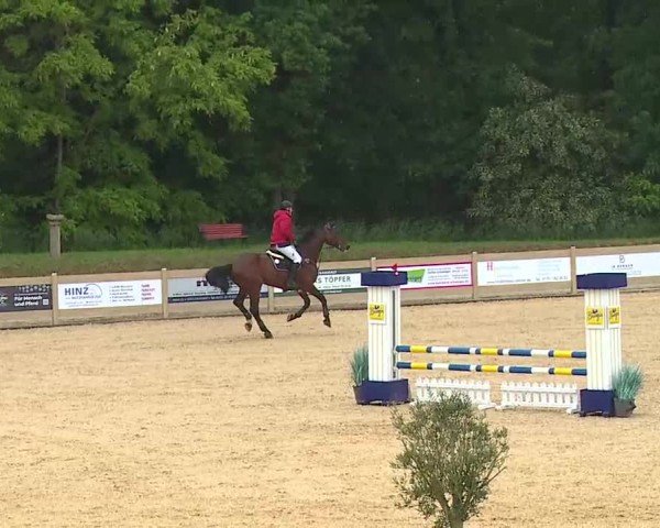 Reitturnier Tiefenhof/Opf. 2025