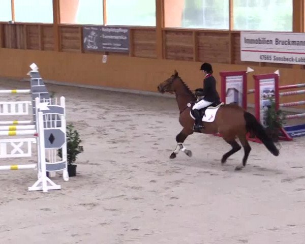 Hallenspringturnier Xanten - Reitanlage Miß 2014