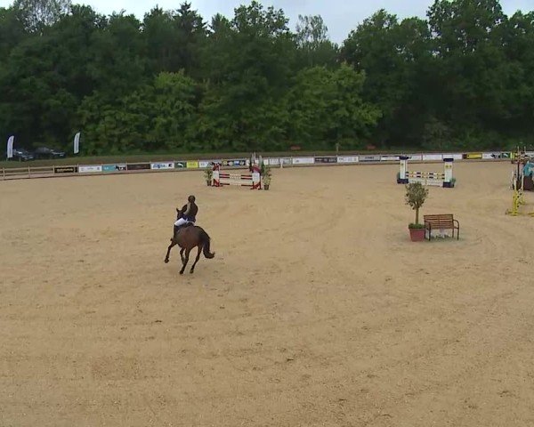 Reitturnier Tiefenhof/Opf. 2025